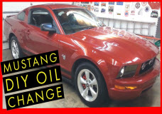 mustang