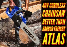 40V Cordless Chainsaw with 4Ah Battery & Charger Better Value than Harbor Freight Atlas Chainsaw